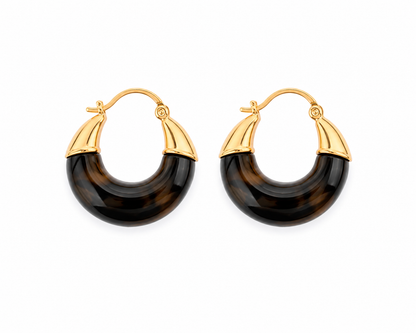 Tortoise Dome Hoops